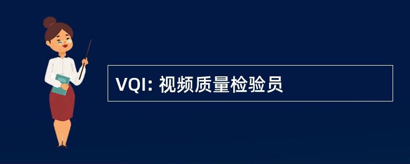 VQI: 视频质量检验员