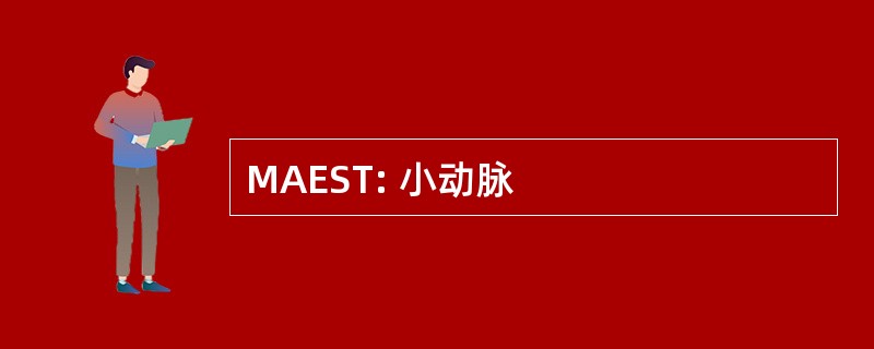 MAEST: 小动脉