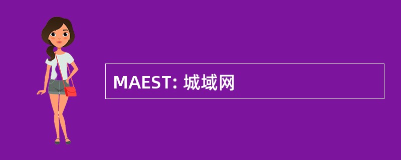 MAEST: 城域网