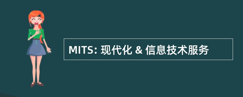 MITS: 现代化 & 信息技术服务