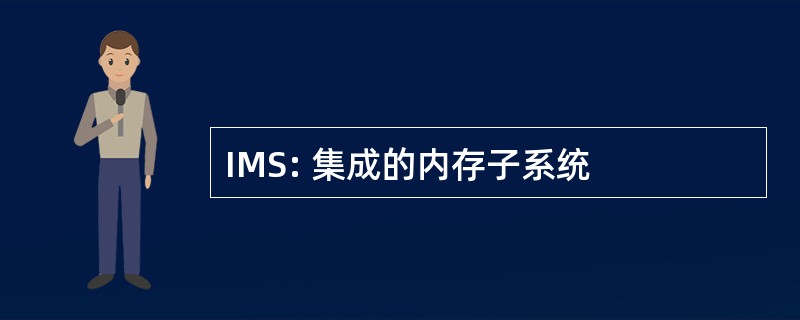 IMS: 集成的内存子系统