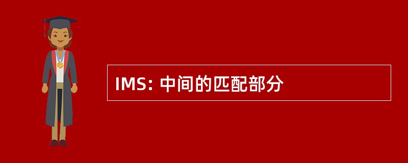 IMS: 中间的匹配部分