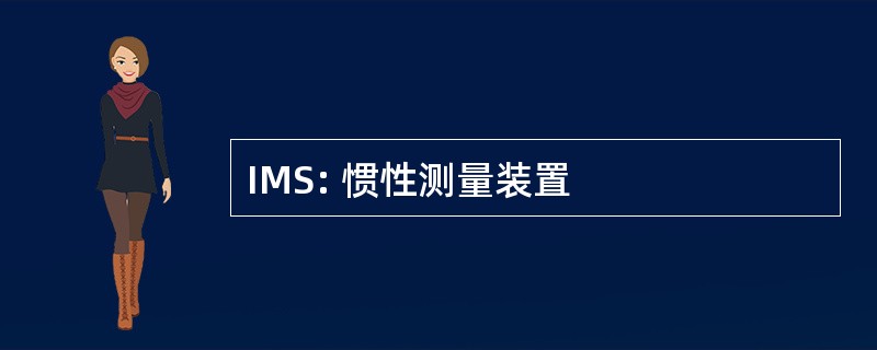 IMS: 惯性测量装置