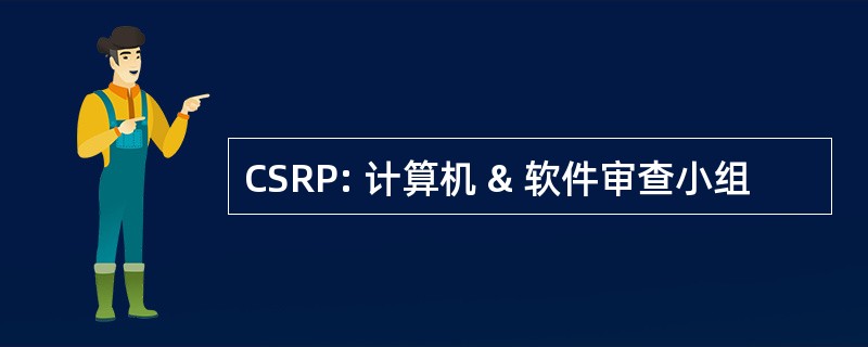 CSRP: 计算机 & 软件审查小组