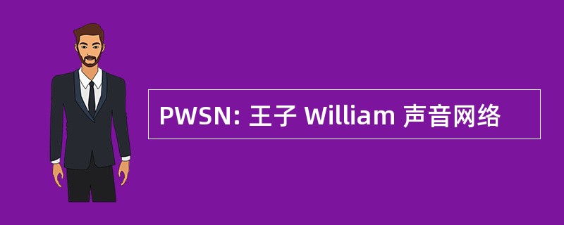 PWSN: 王子 William 声音网络