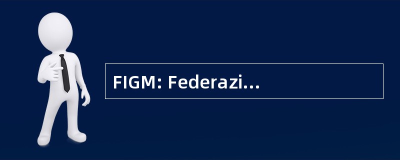 FIGM: Federazione 意大利 Giuoco 普拉斯