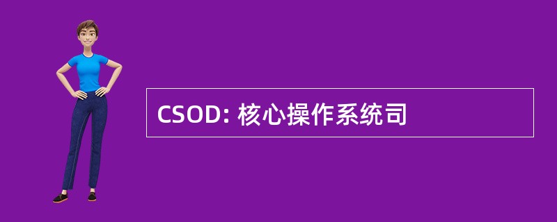 CSOD: 核心操作系统司