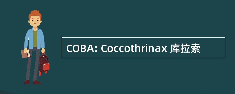 COBA: Coccothrinax 库拉索