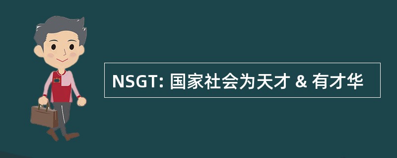 NSGT: 国家社会为天才 & 有才华