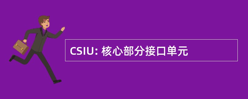 CSIU: 核心部分接口单元