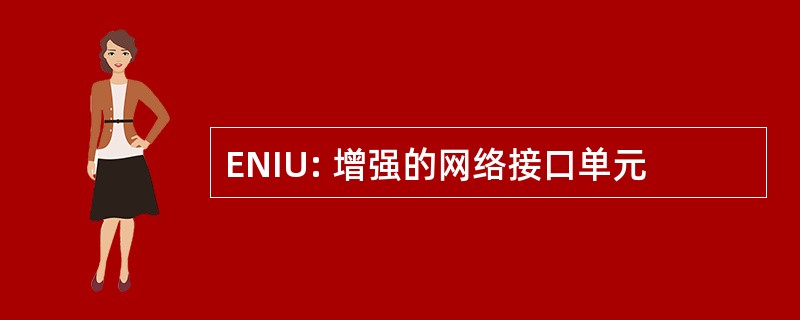 ENIU: 增强的网络接口单元