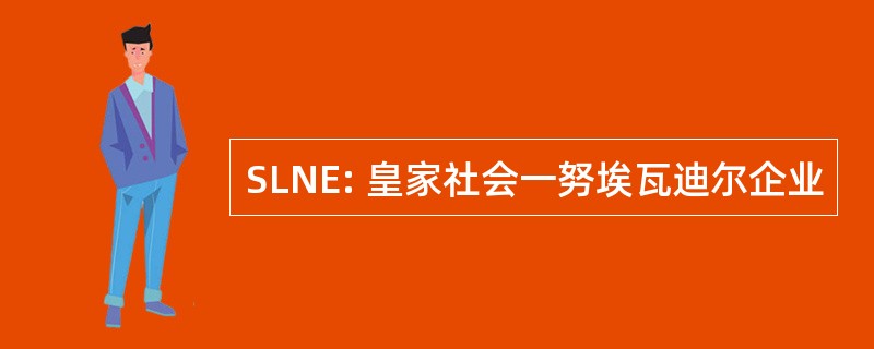 SLNE: 皇家社会一努埃瓦迪尔企业