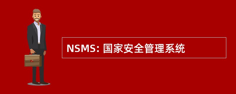 NSMS: 国家安全管理系统