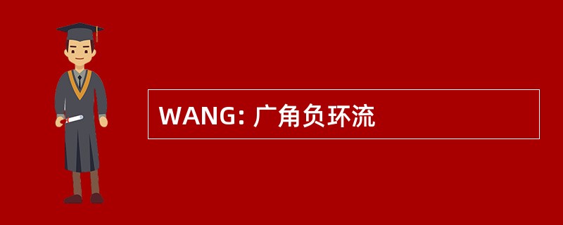 WANG: 广角负环流