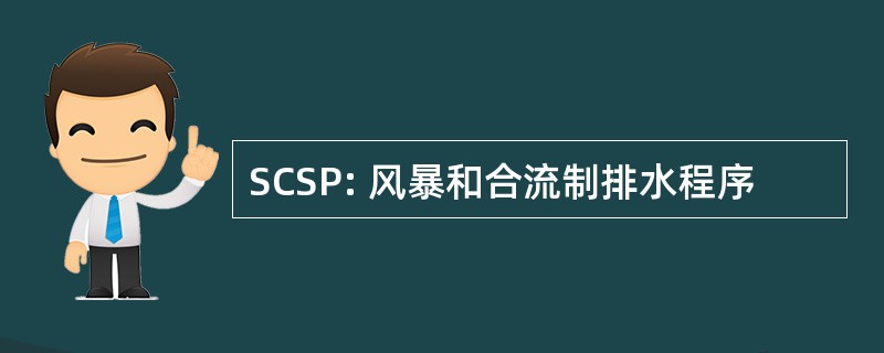 SCSP: 风暴和合流制排水程序