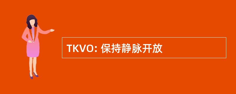 TKVO: 保持静脉开放