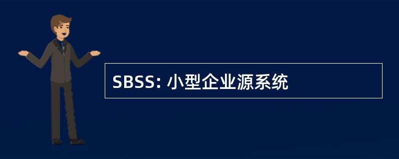 SBSS: 小型企业源系统