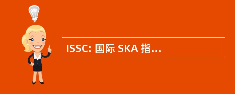 ISSC: 国际 SKA 指导委员会 （估计 2000年）