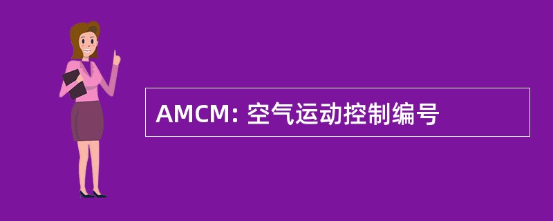 AMCM: 空气运动控制编号