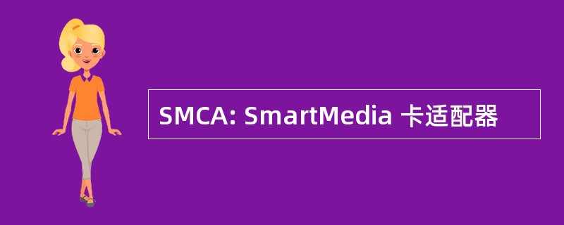 SMCA: SmartMedia 卡适配器