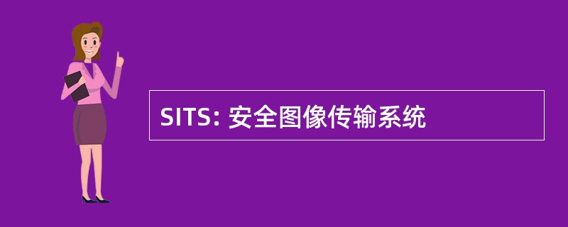 SITS: 安全图像传输系统