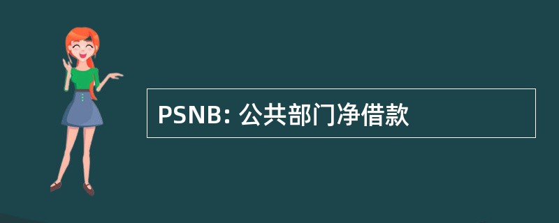 PSNB: 公共部门净借款