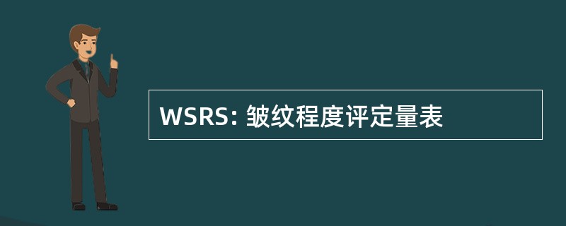 WSRS: 皱纹程度评定量表