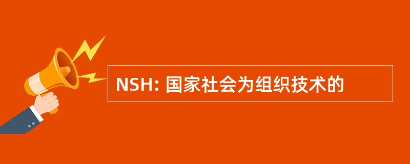 NSH: 国家社会为组织技术的