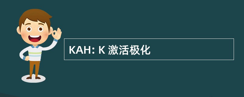 KAH: K 激活极化