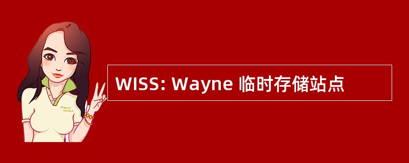 WISS: Wayne 临时存储站点