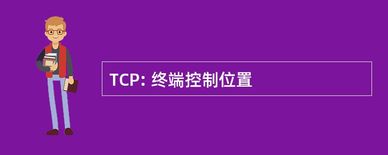 TCP: 终端控制位置