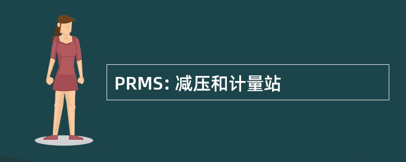 PRMS: 减压和计量站