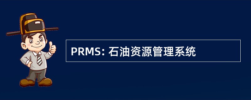 PRMS: 石油资源管理系统