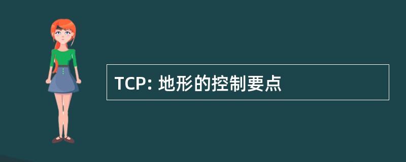 TCP: 地形的控制要点