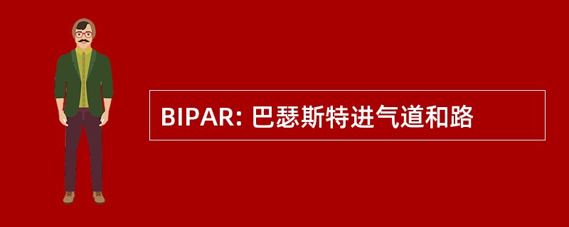 BIPAR: 巴瑟斯特进气道和路