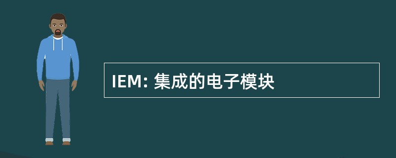 IEM: 集成的电子模块