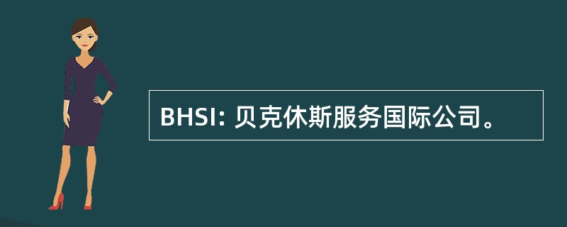 BHSI: 贝克休斯服务国际公司。