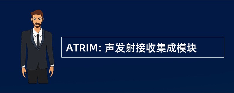 ATRIM: 声发射接收集成模块