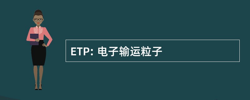 ETP: 电子输运粒子