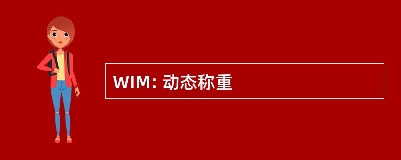 WIM: 动态称重