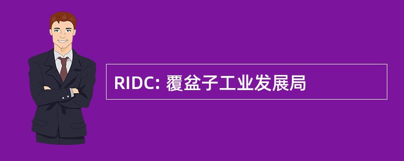 RIDC: 覆盆子工业发展局