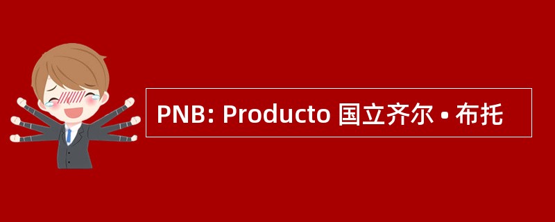 PNB: Producto 国立齐尔 • 布托