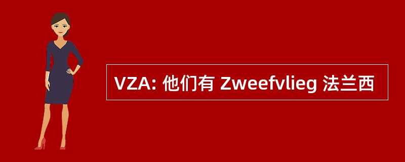 VZA: 他们有 Zweefvlieg 法兰西