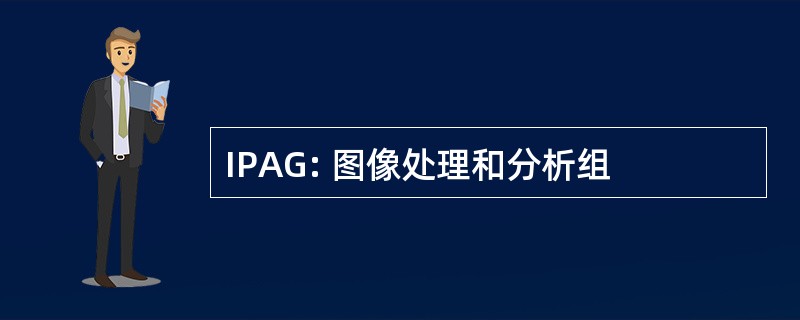 IPAG: 图像处理和分析组