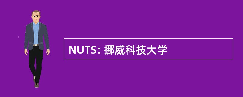 NUTS: 挪威科技大学