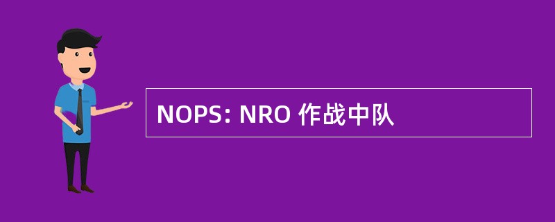 NOPS: NRO 作战中队