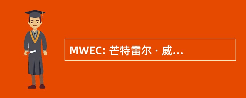 MWEC: 芒特雷尔 · 威廉姆斯电合作