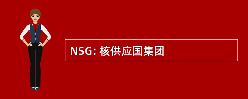 NSG: 核供应国集团