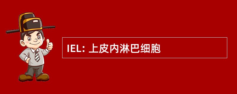 IEL: 上皮内淋巴细胞