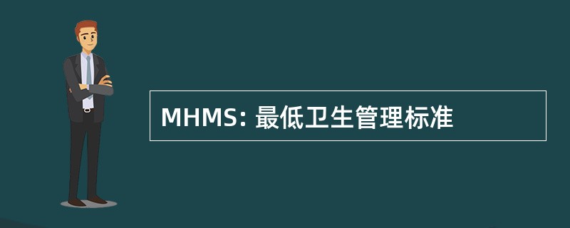 MHMS: 最低卫生管理标准